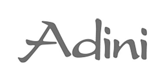Logo Adini Online