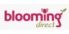 Logo BloomingDirect