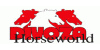 Logo Divoza Horseworld